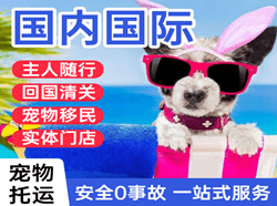 周水子航空快递国际宠物托运 【国